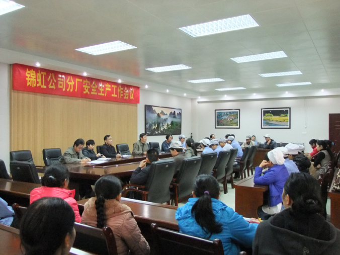 公司召开安全生产专题会议.jpg